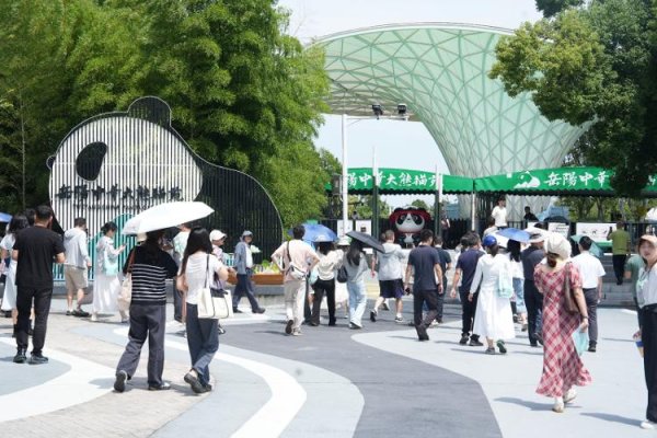 策略赢 湖南这座城市 刮起了“熊猫旋风”