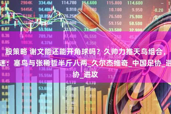 股策略 谢文能还能开角球吗？久帅力推天鸟组合，球迷：塞鸟与张稀哲半斤八两_久尔杰维奇_中国足协_进攻