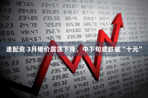 速配资 3月猪价震荡下降，中下旬或跌破“十元”