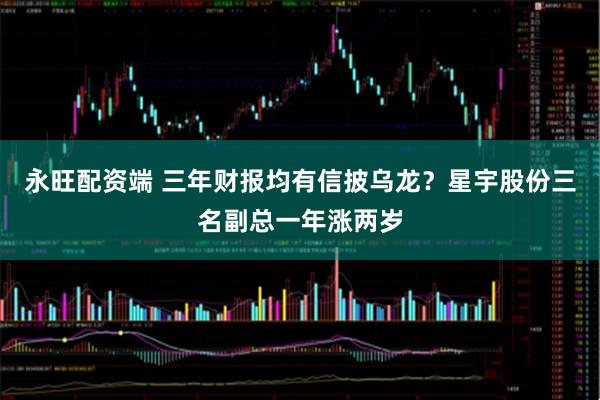 永旺配资端 三年财报均有信披乌龙?星宇股份三名副总一年涨两岁